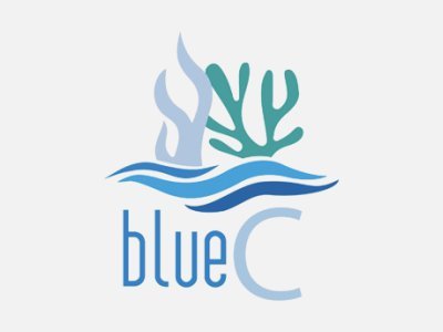 BlueC BlueC
